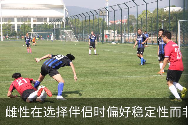 雌性在选择伴侣时偏好稳定性而非卓越基因